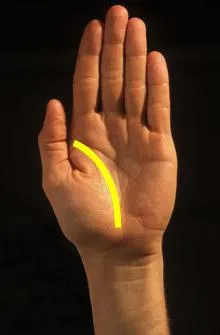 Как да се тълкува стойността на Хиромантия линии на дланта на ръката си