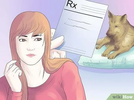 Как да премахнете от ухапване на кучето си