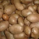 Как да изберем семена от картофи - Регионални новини