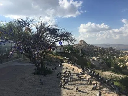 Alte ghid de curcan la Cappadocia, de-a lungul drum