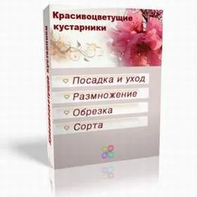 Cum sa faci crinii floare, casa noastră și casa noastră de grădină și grădină