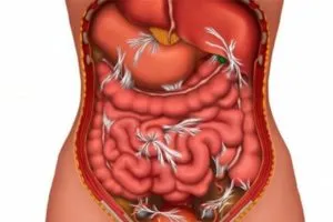 simptome de obstrucție intestinală și tratament