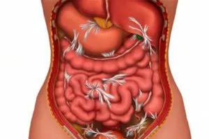 Чревни симптоми и лечение обструкция