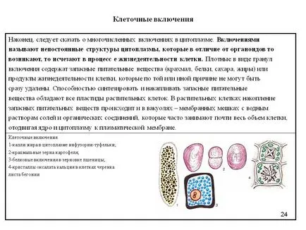 endocyte