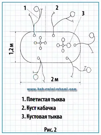 Компост купове за отглеждане на големи тикви и скуош със собствените си ръце, ръцете - как да се направи