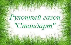 Купете трева с полагането на ключ, цените на тревата на рула