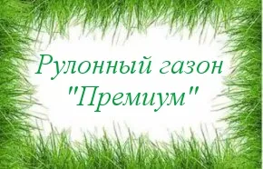 Купете трева с полагането на ключ, цените на тревата на рула