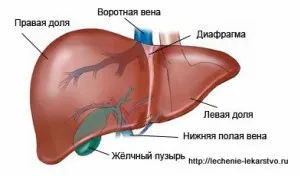 Лечение на цироза на черния дроб, лечение без лекарства