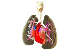 Hipertensiunea pulmonară la copii prognostic, tratament