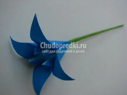 Lily papír origami art