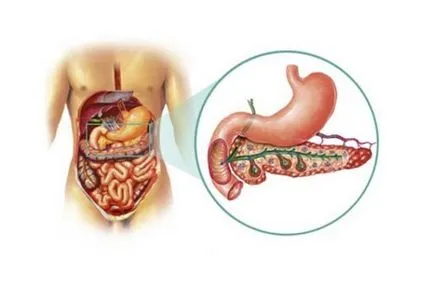 Ecogenității pancreasului a crescut - ceea ce este și ce să facă