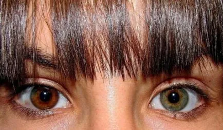 Az emberek a barna szemű, megbízhatóbb, és más tények a szem színe