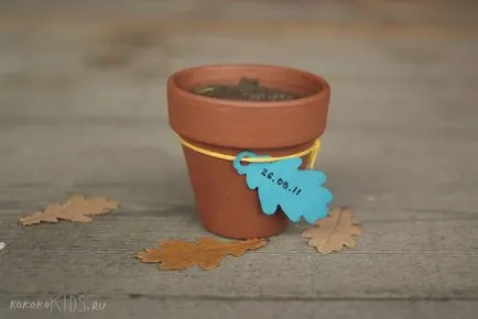 Anya Anya esik a városban! Autumn craft ötletek