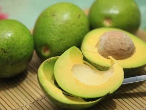 Маслото от авокадо за лицето - свойствата, употребата, начин на приложение