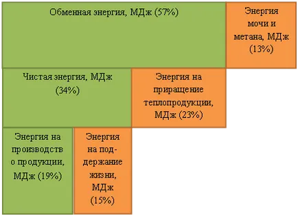 Orientări privind calcularea cerințelor de hrană ale vacilor de lapte (p