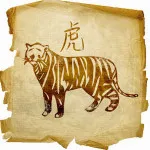 Férfi tigris és egy női tigris - a kompatibilitás két jel