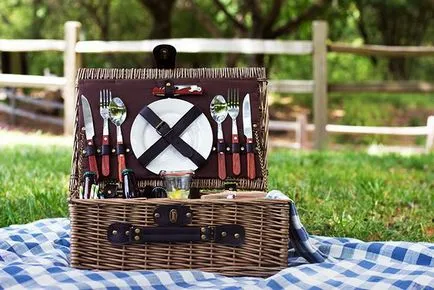 Set de picnic elegant, compact, convenabil