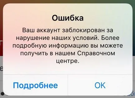 Завийте абонати в Instagram # А, какво, цифрова родния