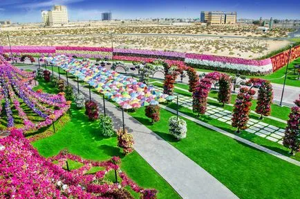 Oázis a sivatagban - virág park Dubai