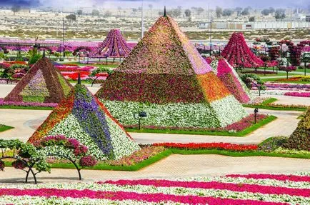 Oázis a sivatagban - virág park Dubai