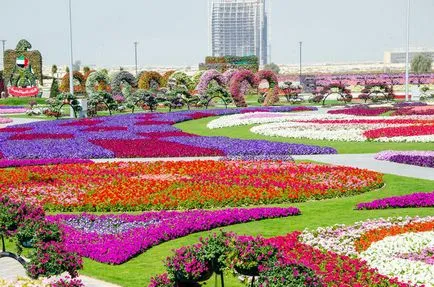 Oázis a sivatagban - virág park Dubai