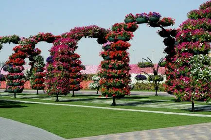 Oázis a sivatagban - virág park Dubai