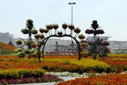 Oázis a sivatagban - virág park Dubai