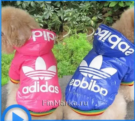 Ruhák a kutyák számára adidas, meleg téli kabát eladási ár Moszkvában