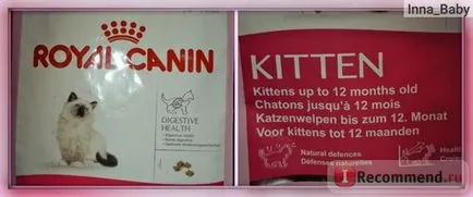 Royal Canin коте - «любима храна на моя шотландски Fold коте