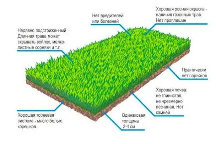 Turf, като положи ръце