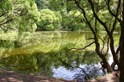 Parcul Filevsky din Moscova fotografii (Fili Park), cum se ajunge la metrou