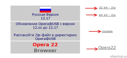 Opera hordozható - böngésző Flash