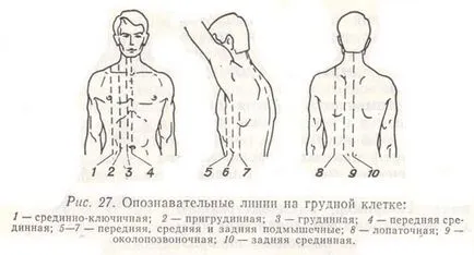Маркиране линия на гръдния кош, пропедевтика вътрешни болести