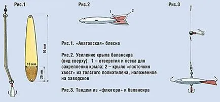 Caracteristici de pescuit de iarna pe Volga