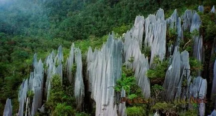 Relaxați-vă pe insula Borneo în Malaezia