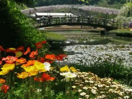 Nyaralás gyerekekkel Ashikaga Virág (Japán) - lila akác és nappali köztük tündérek, fotók Park - pihenő