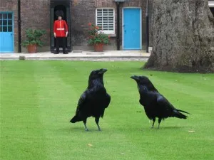 A lefordított szöveg a Tower of London - Titkok yazykasekrety Angol Angol