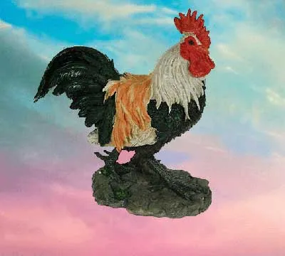 Rooster - talizmán feng shui, jóslás