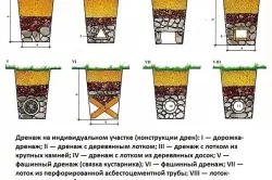 План на сайта за правилното развитие