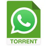 De ce mesaje WhatsApp nu ajung mult timp - în căutarea unei soluții