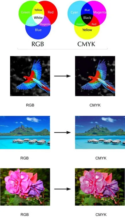 Pregătirea aliniamentul în culoarea de imprimare ofset, CMYK, RGB PANTONE, POLYGRAPHICS