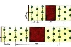 Plantarea castraveți sub agrovoloknom, să crească o grădină!