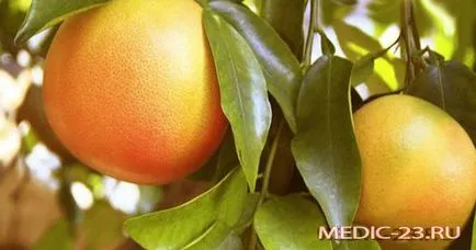 Az előnyök a grapefruit a nők, hogyan kell felvenni a gyümölcs- és helyesen használni, mint ő is fáj