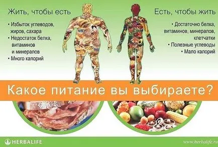 Правилното хранене за здраво тяло