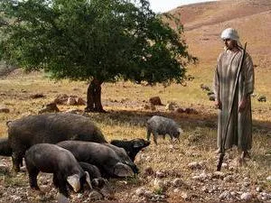 A példázat a tékozló fiú, értelmezése