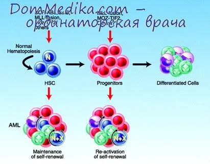 Principii de prevenire a cancerului