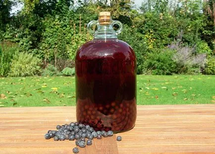 A készítmény szőlőbor otthon a legjobb receptek