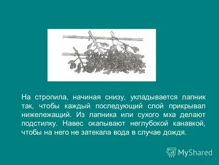 Представяне на строителството на временни жилища в горския пояс компилатор Болшаков представянето на