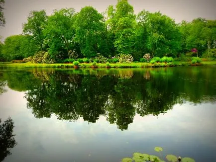 Stilul natural plan de reglementare plante amenajare a teritoriului