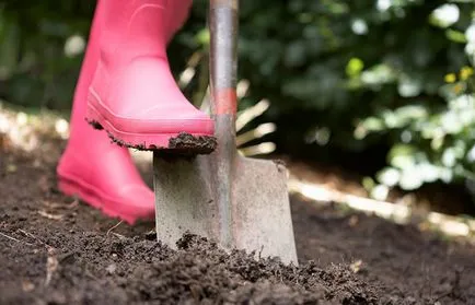 Дезоксидация на почвата в градината